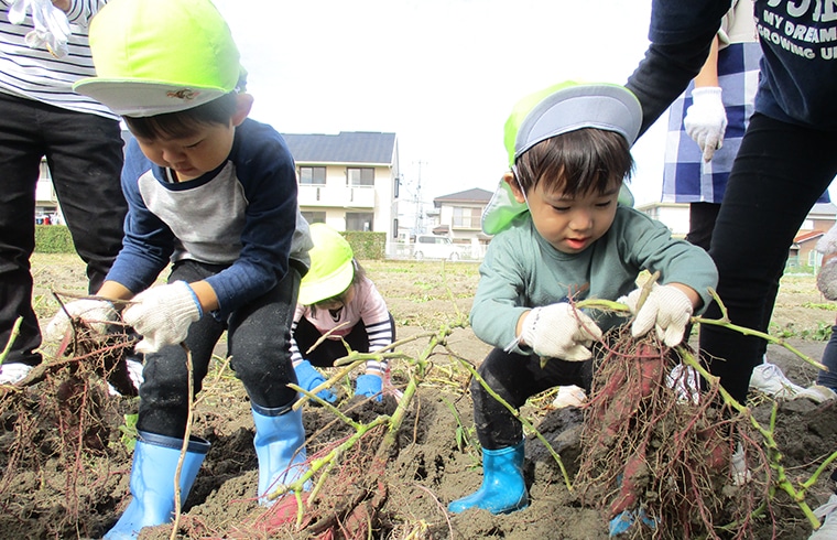 食育活動<br />
野菜を育て収穫の喜びを感じることで、<br />
食への興味を育みます。<br />
そして、苦手な野菜も食べてみようかなと<br />
思える気持ちを引き出します。