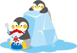 夏のお楽しみ🐧✨（全チーム）